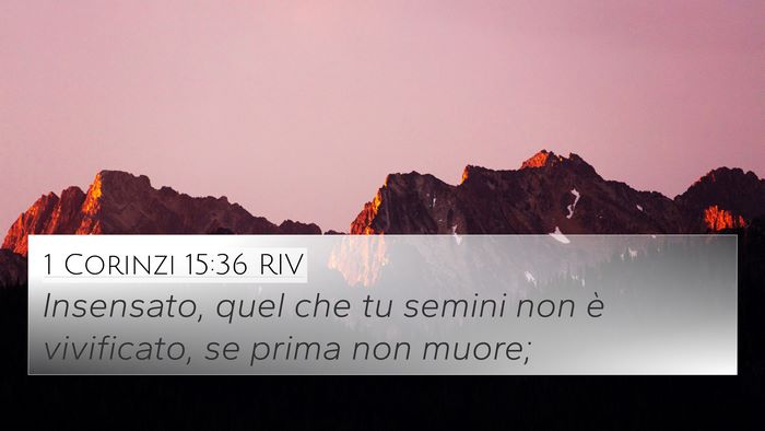 1 Corinzi 15:36 RIV Bible Verse Image