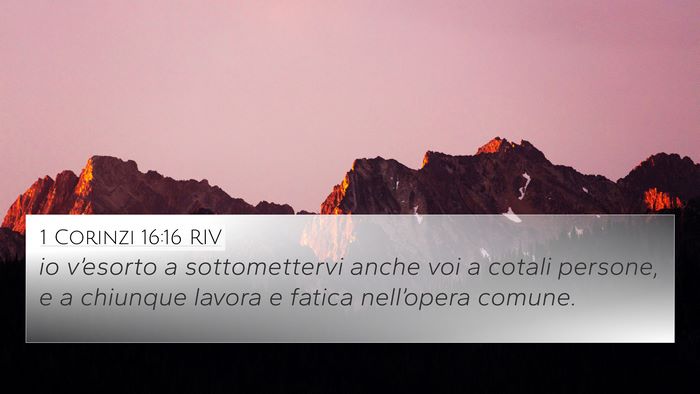 1 Corinzi 16:16 RIV 4K Wallpaper - io v’esorto a sottomettervi anche voi a cotali - 4K Wallpaper Bible Verse