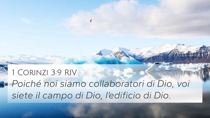 1 Corinzi 3:9 RIV Bible Verse Image