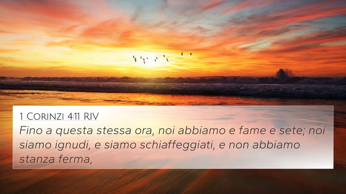 1 Corinzi 4:11 RIV Bible Verse Image