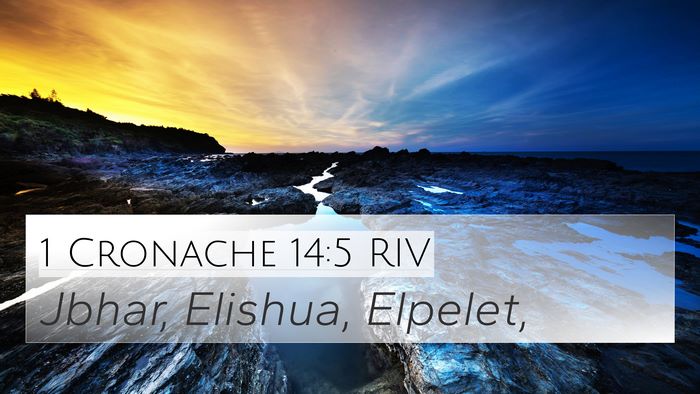 1 Cronache 14:5 RIV Bible Verse Image