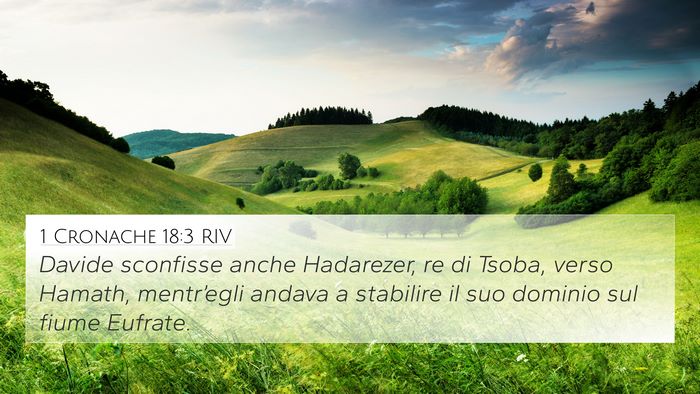 1 Cronache 18:3 RIV Bible Verse Image