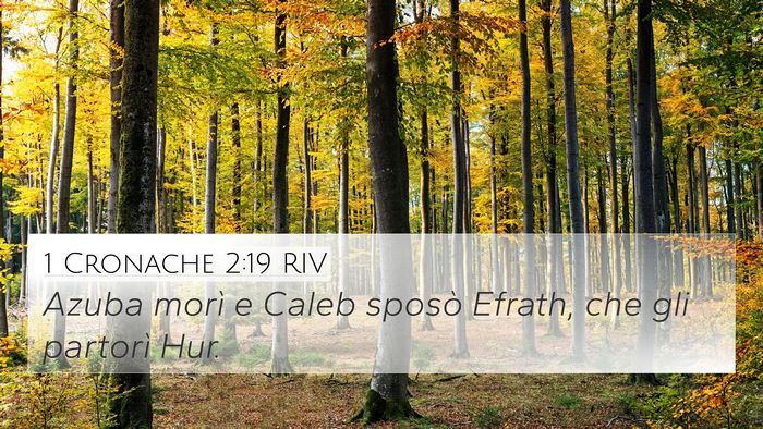 1 Cronache 2:19 RIV Bible Verse Image