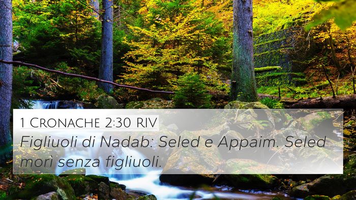 1 Cronache 2:30 RIV 4K Wallpaper - Figliuoli di Nadab: Seled e Appaim. Seled morì - 4K Wallpaper Bible Verse