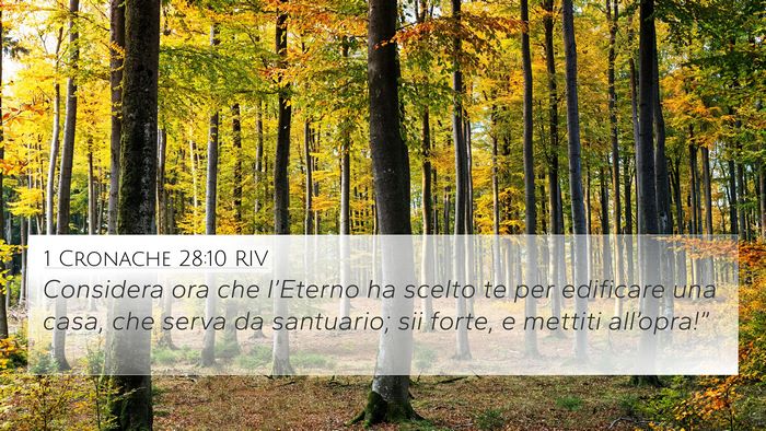 1 Cronache 28:10 RIV Bible Verse Image