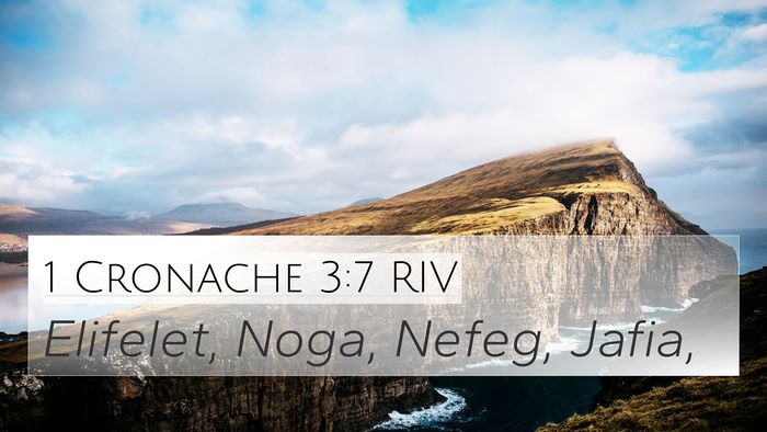 1 Cronache 3:7 RIV 4K Wallpaper - Elifelet, Noga, Nefeg, - 4K Wallpaper Bible Verse