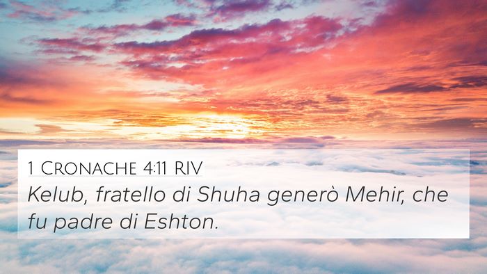 1 Cronache 4:11 RIV 4K Wallpaper - Kelub, fratello di Shuha generò Mehir, che fu - 4K Wallpaper Bible Verse