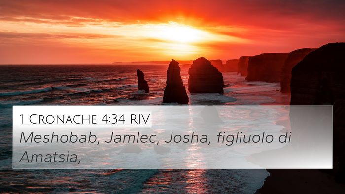 1 Cronache 4:34 RIV Bible Verse Image