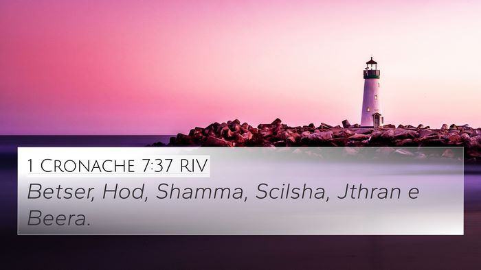 1 Cronache 7:37 RIV 4K Wallpaper - Betser, Hod, Shamma, Scilsha, Jthran e - 4K Wallpaper Bible Verse