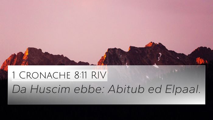 1 Cronache 8:11 RIV 4K Wallpaper - Da Huscim ebbe: Abitub ed - 4K Wallpaper Bible Verse