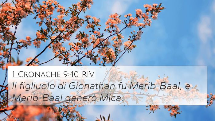 1 Cronache 9:40 RIV Bible Verse Image