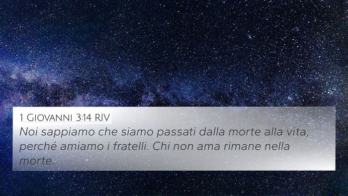 1 Giovanni 3:14 RIV Bible Verse Image