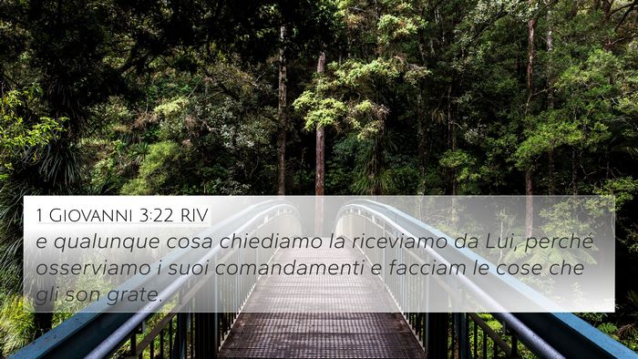 1 Giovanni 3:22 RIV Bible Verse Image