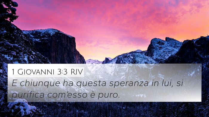 1 Giovanni 3:3 RIV Bible Verse Image