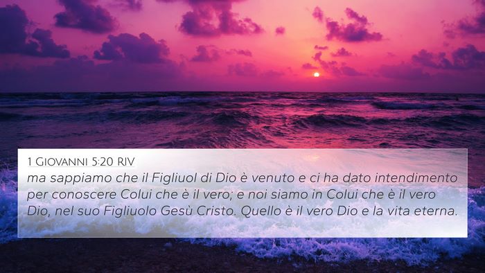 1 Giovanni 5:20 RIV Bible Verse Image