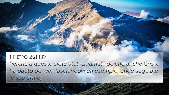 1 Pietro 2:21 RIV Bible Verse Image