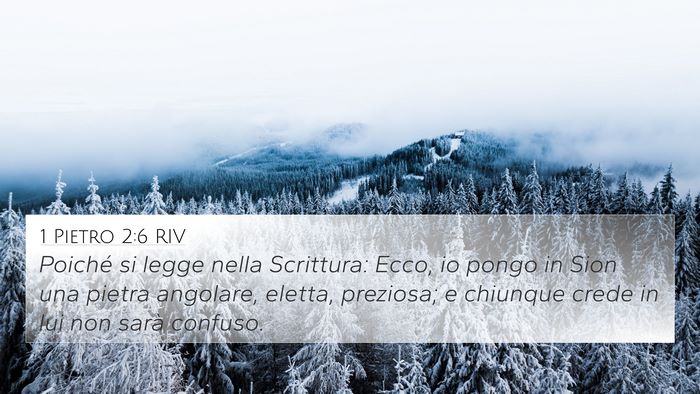 1 Pietro 2:6 RIV Bible Verse Image