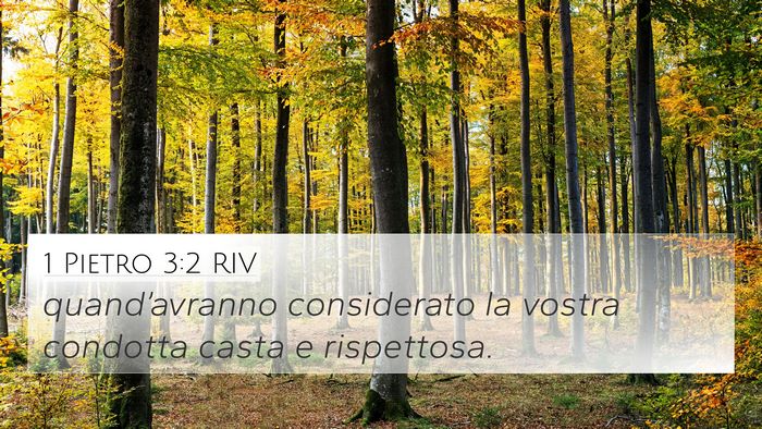 1 Pietro 3:2 RIV Bible Verse Image