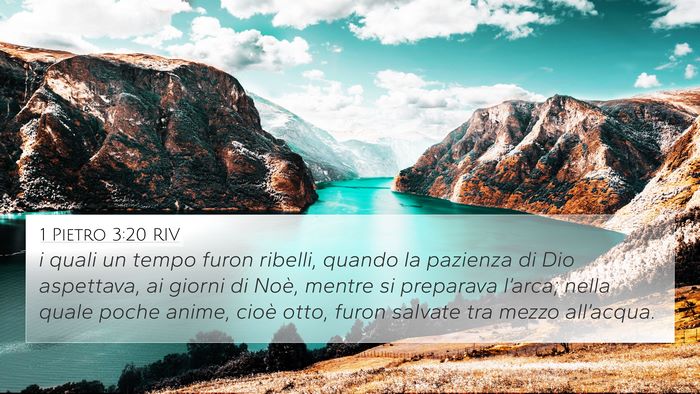 1 Pietro 3:20 RIV Bible Verse Image