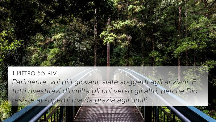 1 Pietro 5:5 RIV Bible Verse Image