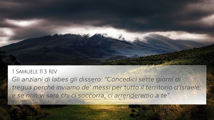 1 Samuele 11:3 RIV 4K Wallpaper - Gli anziani di Iabes gli dissero: “Concedici - 4K Wallpaper Bible Verse