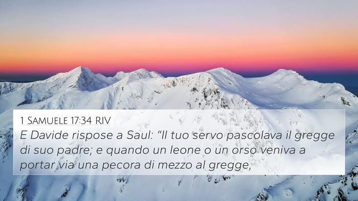 1 Samuele 17:34 RIV Bible Verse Image