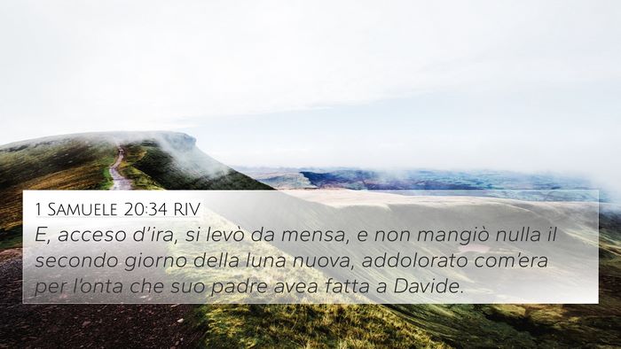 1 Samuele 20:34 RIV 4K Wallpaper - E, acceso d’ira, si levò da mensa, e non - 4K Wallpaper Bible Verse