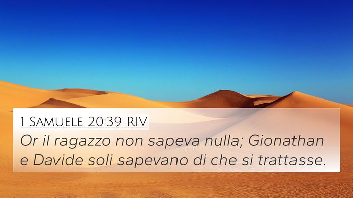 1 Samuele 20:39 RIV 4K Wallpaper - Or il ragazzo non sapeva nulla; Gionathan e - 4K Wallpaper Bible Verse