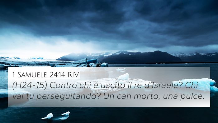 1 Samuele 24:14 RIV Bible Verse Image
