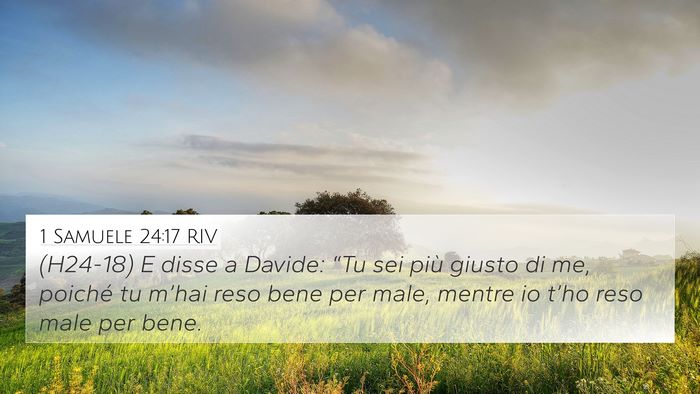 1 Samuele 24:17 RIV Bible Verse Image