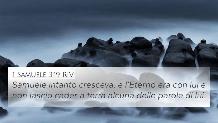 1 Samuele 3:19 RIV Bible Verse Image