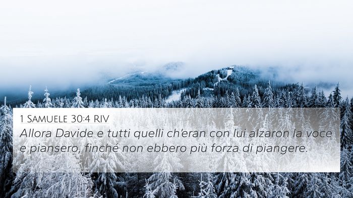 1 Samuele 30:4 RIV Bible Verse Image