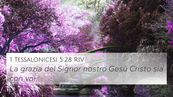 1 Tessalonicesi 5:28 RIV 4K Wallpaper - La grazia del Signor nostro Gesù Cristo sia con - 4K Wallpaper Bible Verse