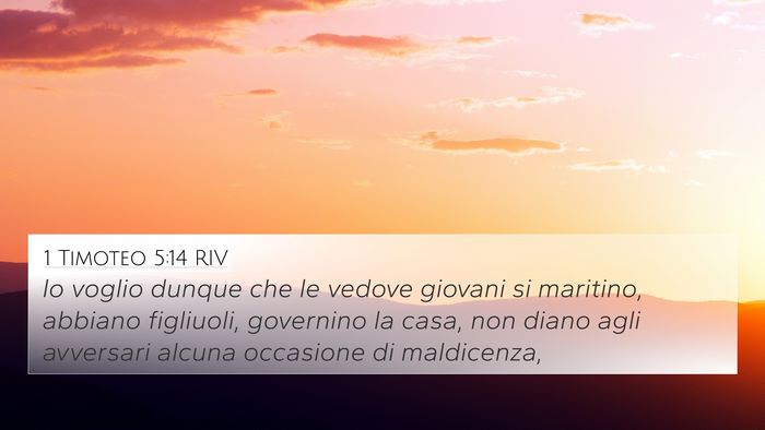 1 Timoteo 5:14 RIV Bible Verse Image