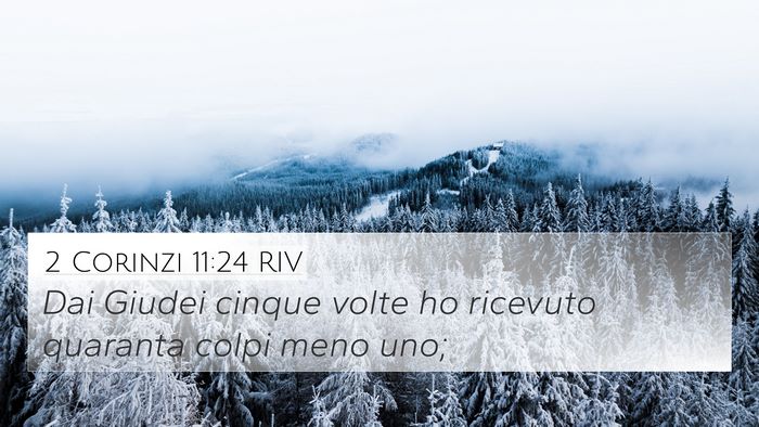 2 Corinzi 11:24 RIV Bible Verse Image