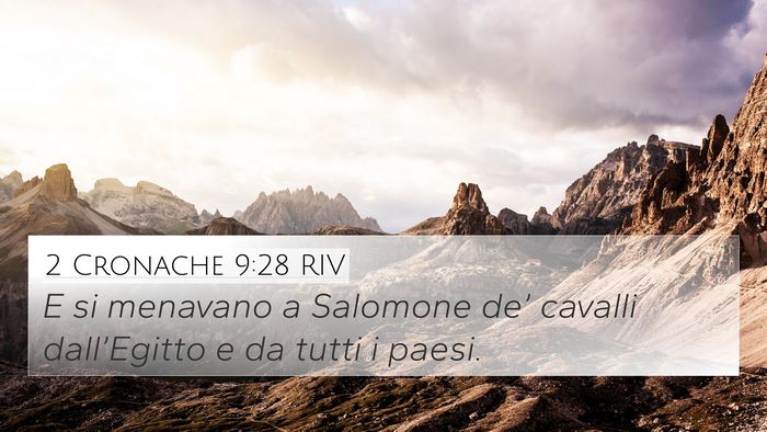 2 Cronache 9:28 RIV Bible Verse Image