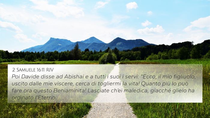 2 Samuele 16:11 RIV Bible Verse Image