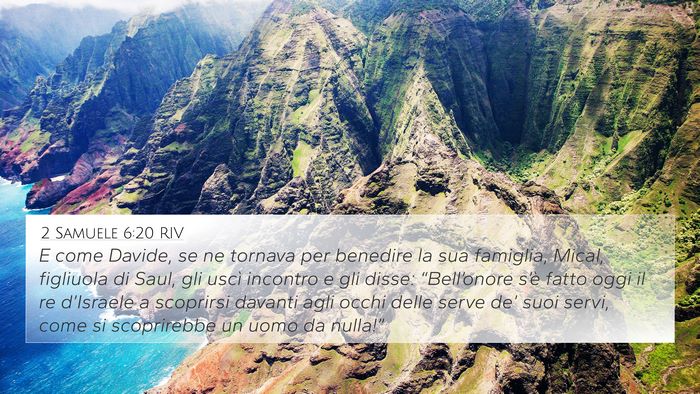 2 Samuele 6:20 RIV Bible Verse Image