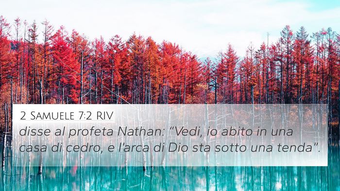 2 Samuele 7:2 RIV Bible Verse Image
