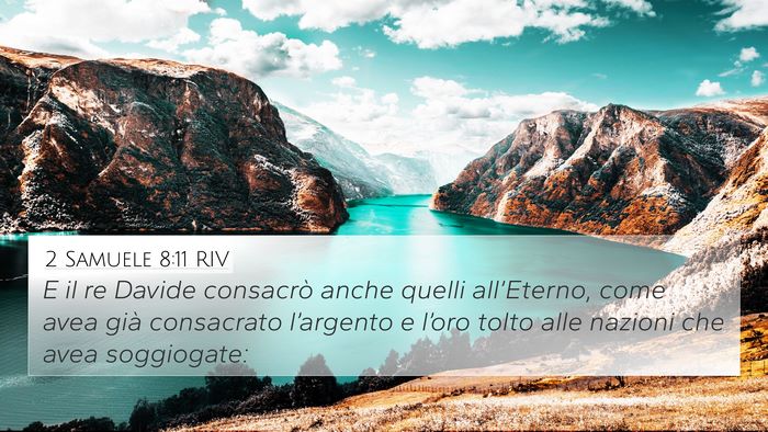 2 Samuele 8:11 RIV Bible Verse Image