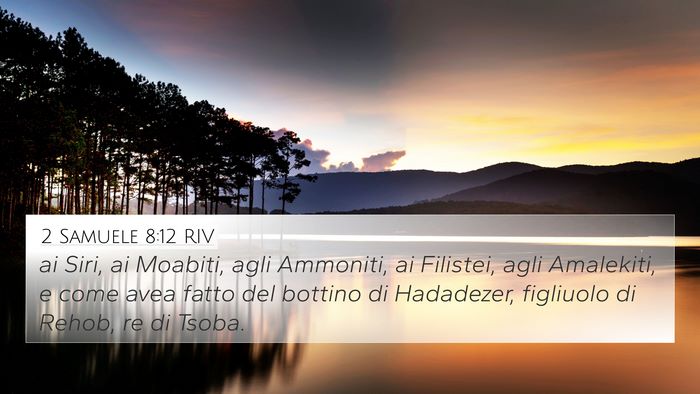 2 Samuele 8:12 RIV Bible Verse Image
