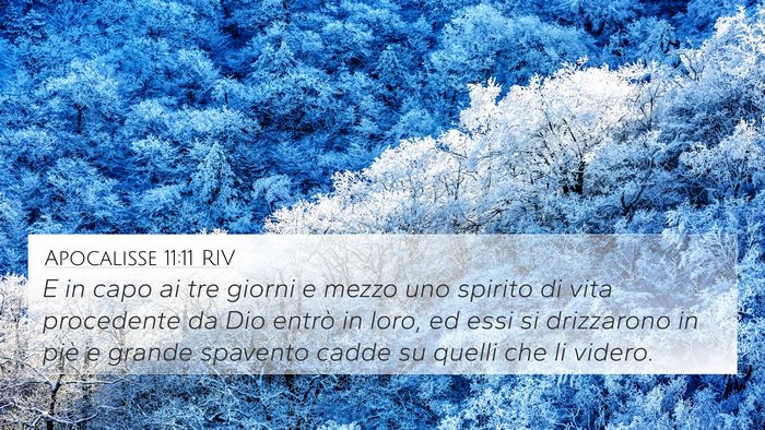 Apocalisse 11:11 RIV Bible Verse Image