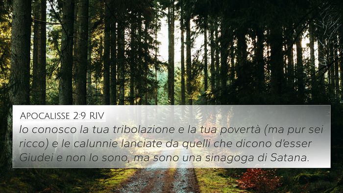 Apocalisse 2:9 RIV Bible Verse Image