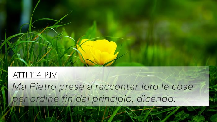 Atti 11:4 RIV Bible Verse Image