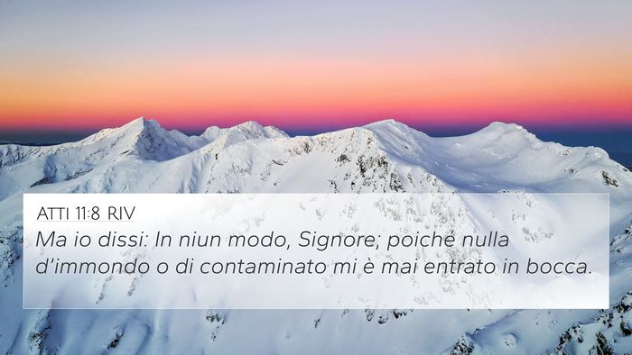 Atti 11:8 RIV 4K Wallpaper - Ma io dissi: In niun modo, Signore; poiché nulla - 4K Wallpaper Bible Verse