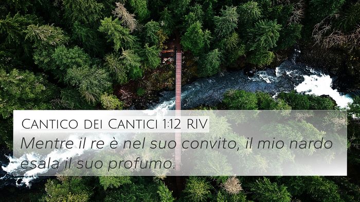 Cantico dei Cantici 1:12 RIV Bible Verse Image