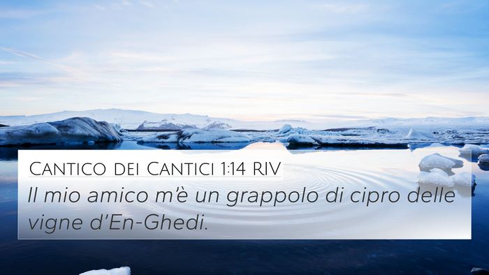 Cantico dei Cantici 1:14 RIV Bible Verse Image