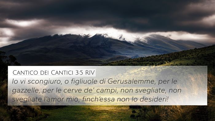 Cantico dei Cantici 3:5 RIV Bible Verse Image