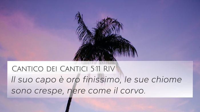 Cantico dei Cantici 5:11 RIV Bible Verse Image