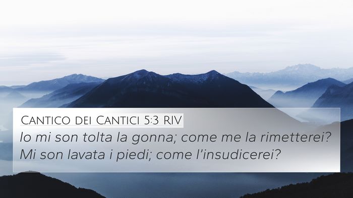 Cantico dei Cantici 5:3 RIV 4K Wallpaper - Io mi son tolta la gonna; come me la rimetterei? - 4K Wallpaper Bible Verse